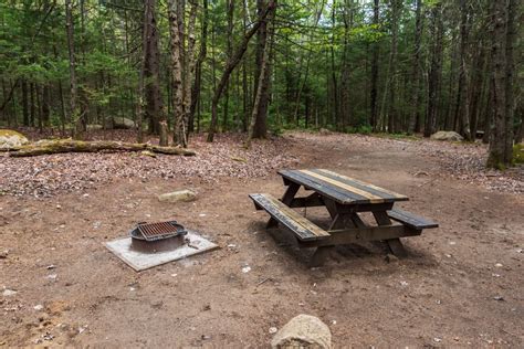 Camp In The Adirondacks | Heart Lake Program Center