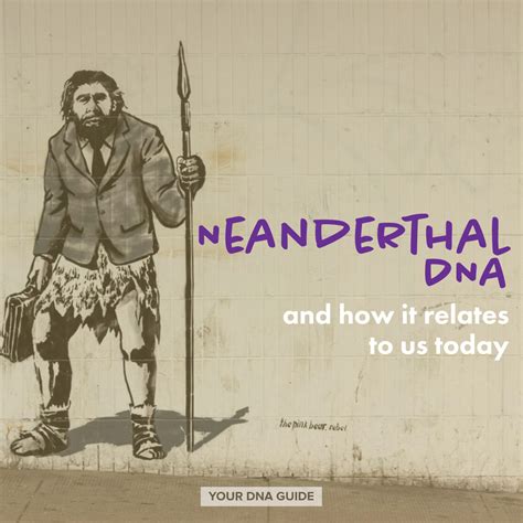 Neanderthal DNA: What Is it and How Does it Relate to Us Today? - Your ...