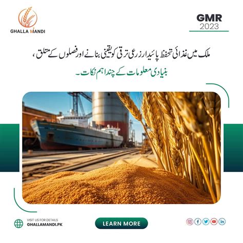 Wheat Rate in Pakistan 2024 | Wheat Price Today - Ghalla Mandi rates