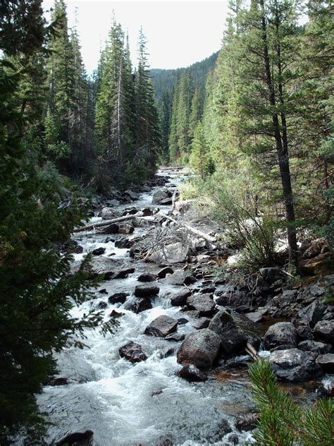 Cache La Poudre River - near Fort Collins-Greeley, CO - Uncover Colorado