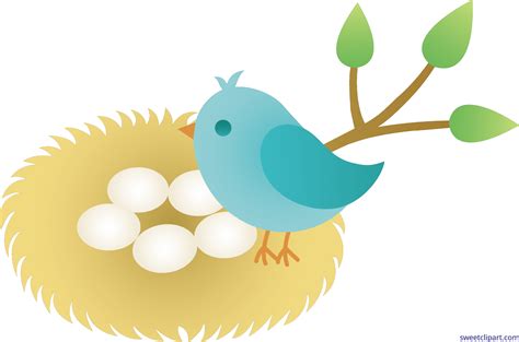 Bird Nest With Eggs Coloring Pages [2025]