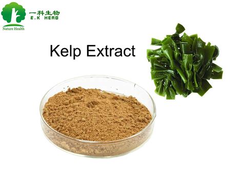 E. K Herb ISO Halal Laminaria Japonica Extract Laminarin 50% Kelp Polysaccharide - Plant Extract ...