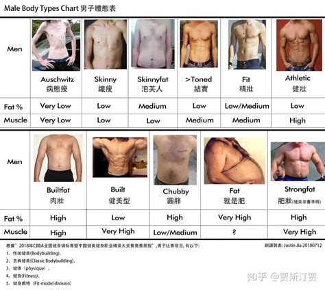 Male Body Type Chart