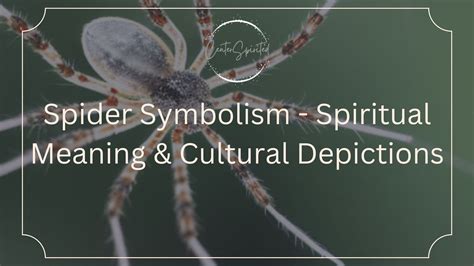 Spider Symbolism - Spiritual Meaning & Cultural Depictions