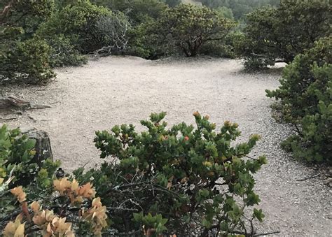 Huckleberry Botanic Regional Preserve: Supplement to the Self-Guided Tour