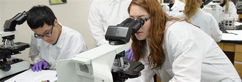 Medical Lab Science 的图像结果