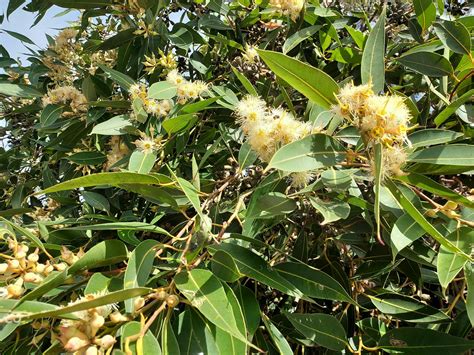 Arcadia Park - Visit Newcastle