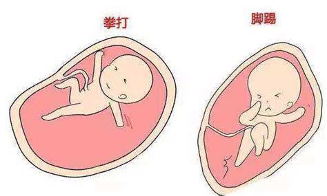 B超归来，二胎是女宝！发下男宝和女宝的b超对比图 _孕期