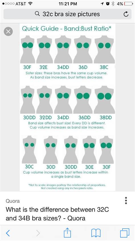 34dd Breast Size Photos