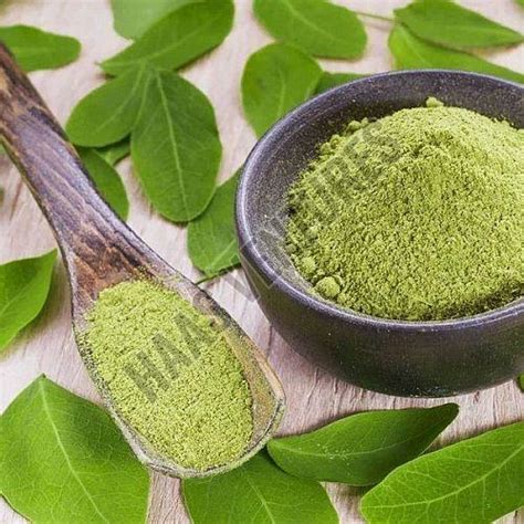 Haas Ventures - Moringa Leaves Powder Manufacturer Supplier from Pune