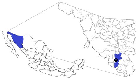 Evaluation of Concentration Polarization Due to the Effect of Feed ...