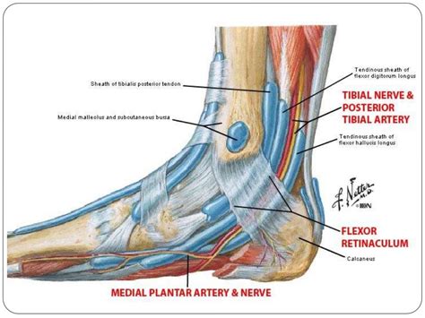 Hip Hop Dance Tutorial 的图像结果