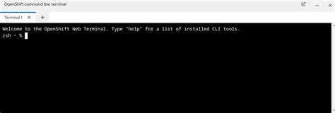 Explore the full capabilities of the Web Terminal Operator | Red Hat ...