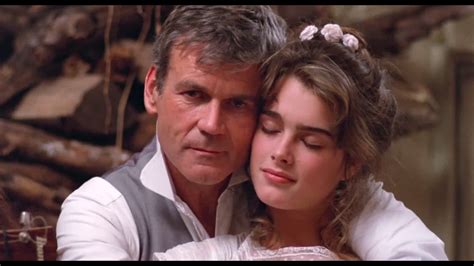 Filme Endless Love 1981 Como Termina - RETOEDU