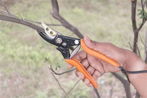 FALCON CUT & HOLD SECATEUR FCHS-901