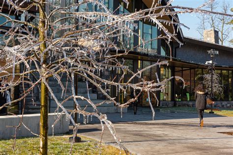 Sarah Lawrence Admission Rate