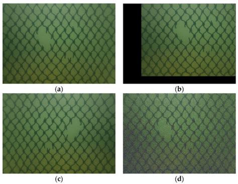 Netting Damage Detection for Marine Aquaculture Facilities Based on ...