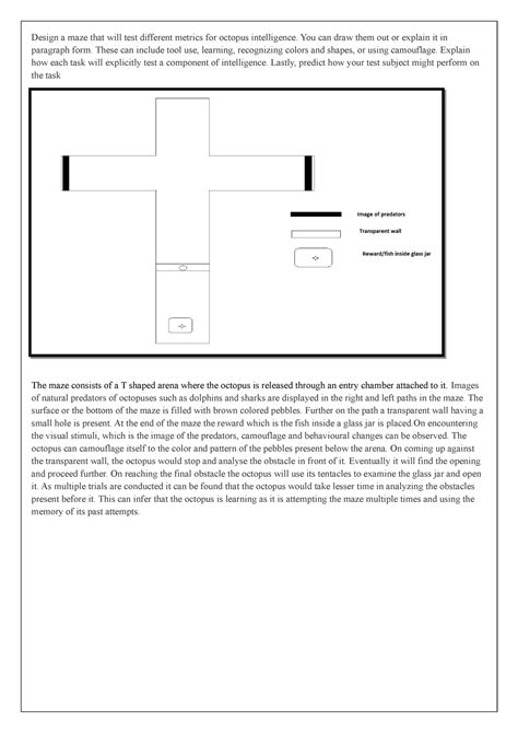 Design a maze that will test different metrics for octopus intelligence ...