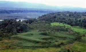 Laser Mapping Uncovers a 2,500-Year-Old Lost Amazonian Cities—Older ...