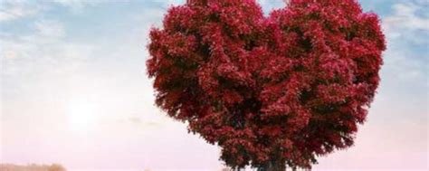 浪漫爱情树背景背景图片素材免费下载_熊猫办公