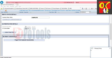 Solution for # sign appearing while capturing Finger Print in IPPB Finacle