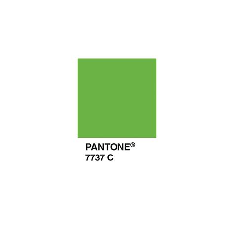 Buy Pantone Postcard Box: 100 Postcards (Pantone Color Chip Card Set ...