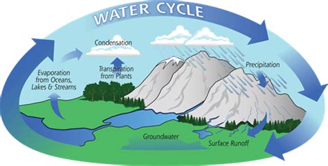 Water Cycle Phases, Significance and Impact of Climate Change