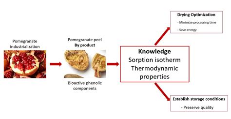 Sorption Isotherms and Thermodynamic Properties of Pomegranate Peels
