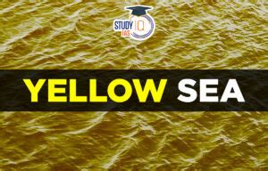 Yellow Sea, Map, Bordering Countries, Geography, Climate