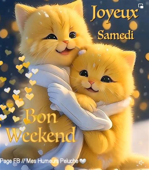 Cute Cats Hugging in the Snow