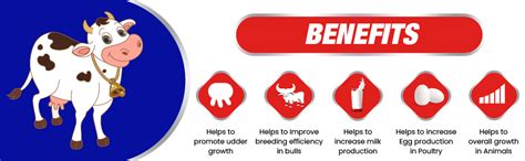 REFIT ANIMAL CARE Veterinary Vitamin H Supplement for Cow, Cattle, Goat ...