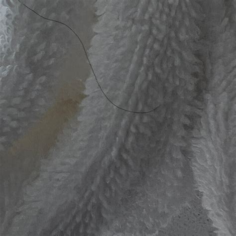 HAMPTON INN MEMPHIS-POPLAR - Hotel Reviews, Photos, Rate Comparison ...