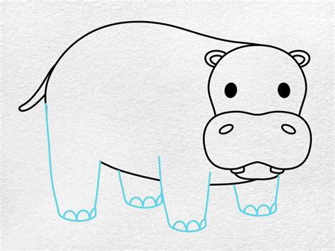 Drawing A Hippo Face at Marcus Glennie blog