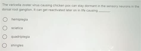 Solved: The varicella zoster virus causing chicken pox can stay dormant ...