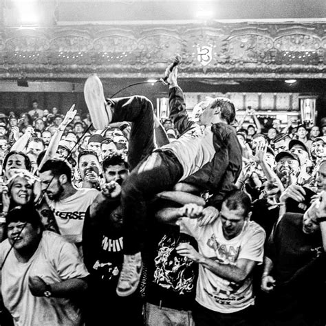 Image result for fiddlehead