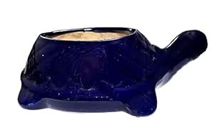 Tortoise Shaped Planter Blue Color Small Size Indoor Outdoor Plant Pot ...