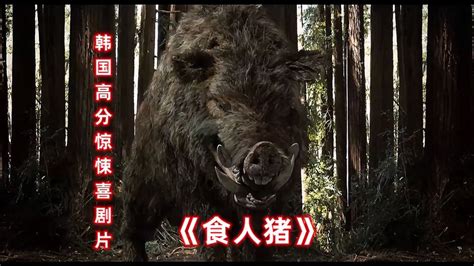 800斤的野猪究竟有多凶残？韩国又一部惊悚高分电影！《食人猪》-影视综视频-搜狐视频