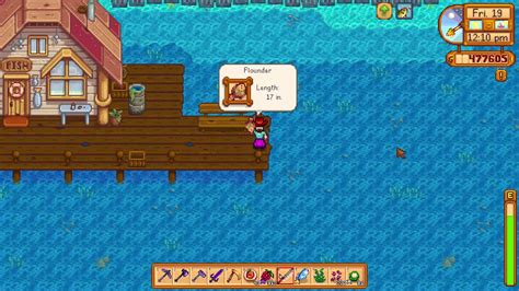 How to get a Flounder fish in Stardew Valley - YouTube