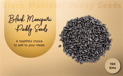 GREEN WORLD Black Rice Rarest Manipuri Paddy Seeds - 150 Gms For ...