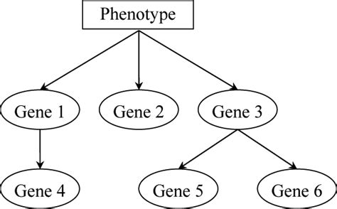 Boolean Node for Python Bayesian Network 的图像结果