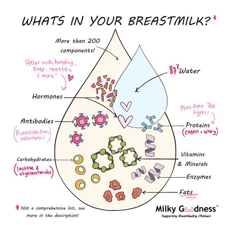 Thrush and breastfeeding – Artofit