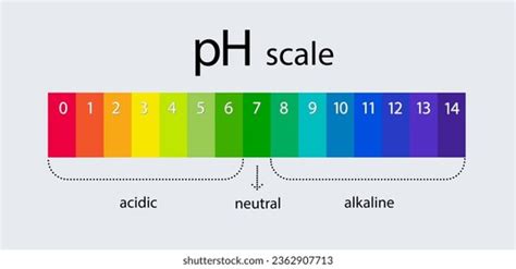 Image result for NP Power Python