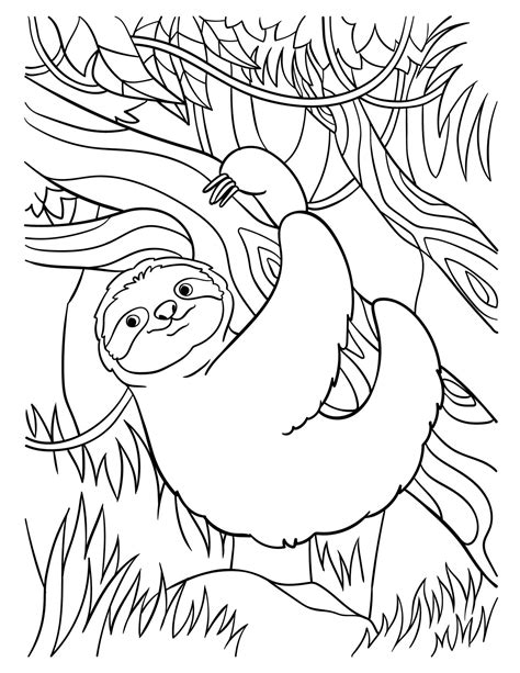 Sloth Coloring Page - Jace Printable