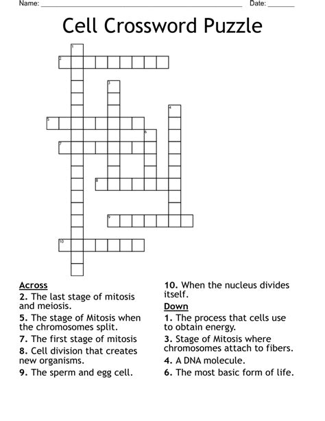 Cell Crossword Puzzle - WordMint