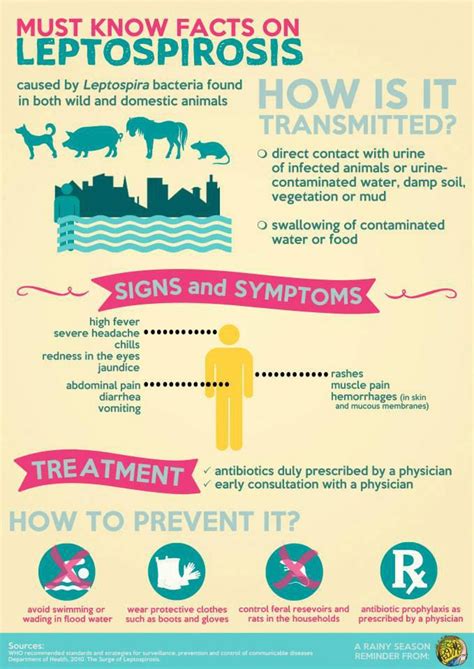 Flood Aftermath - Water-borne Diseases - Leptospirosis | GetDoc Says