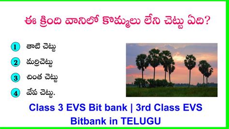 Class 3 EVS Bit bank | 3rd Class EVS Bitbank in TELUGU| PART 1 ...