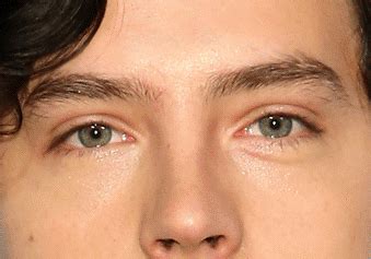 Image result for Houdini 18 Tutorials