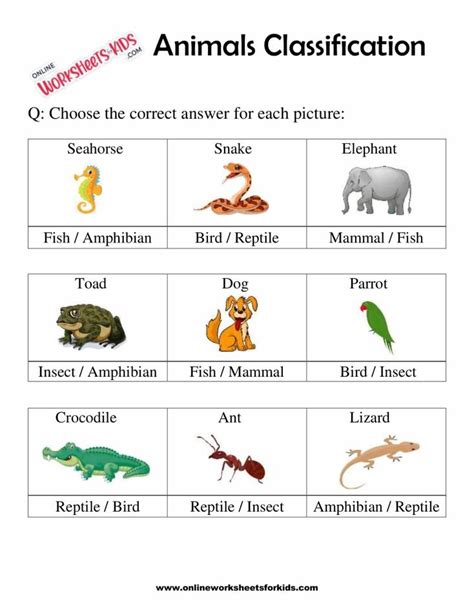 Animal Classification Worksheet 的图像结果