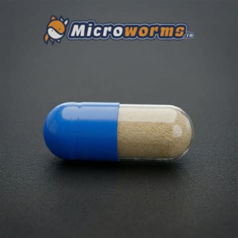 Buy Moina Egg Capsules Online India | Live Moina Culture Starter | 5 ...