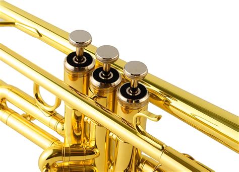 ZYZYZY ZENGXUE Trumpet Student Juvenile Examination Band India | Ubuy